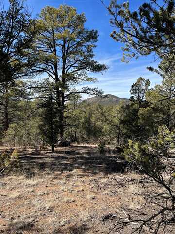 La Posta Way, Santa Fe, NM 87505
