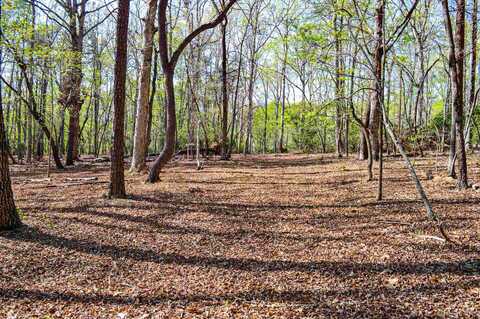 0 Club Road, Tryon, NC 28782