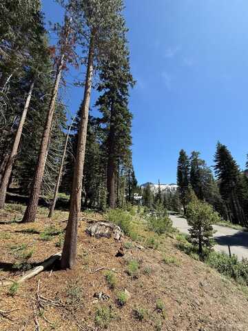 529 Meadows Drive E, Kirkwood, CA 95646