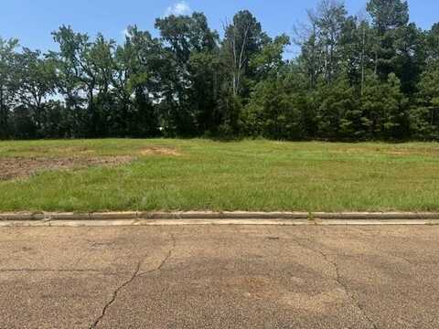 Lot 3 Business Center Drive, Mccomb, MS 39648