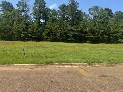 Lot 4 Business Center Drive, Mccomb, MS 39648