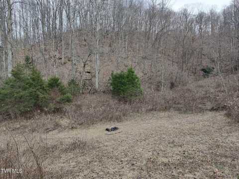 Hickory Cove Road, Surgoinsville, TN 37873