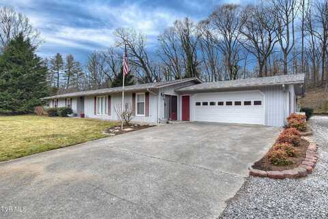 169 Sinking Creek Road, Johnson City, TN 37601