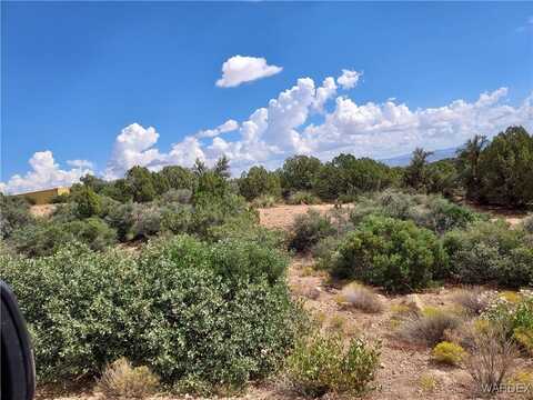 Mountain Shadow Road, Kingman, AZ 86401