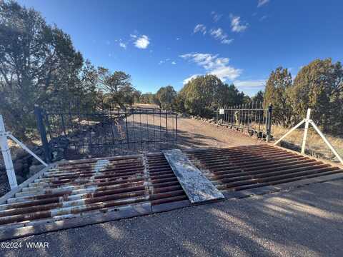 2008 Rosa Lane, Show Low, AZ 85901