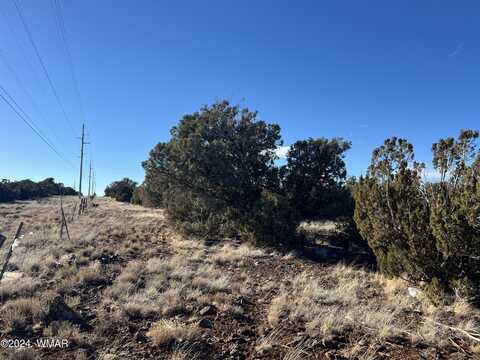 2036 Sitgreaves Ranch Road, Show Low, AZ 85901
