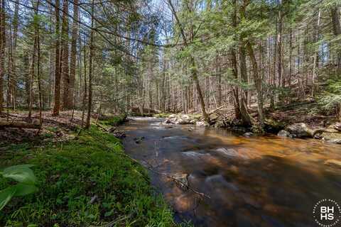 1973 County Route 48, Vermontville, NY 12989