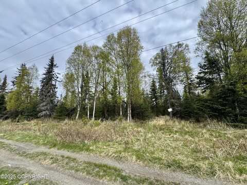 2604 Redoubt Avenue, Kenai, AK 99611
