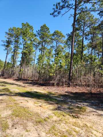 Lot 29 Cool Mount Drive, Aiken, SC 29803