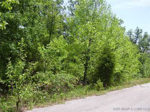 19 Silver Spur Court, Camdenton, MO 65020