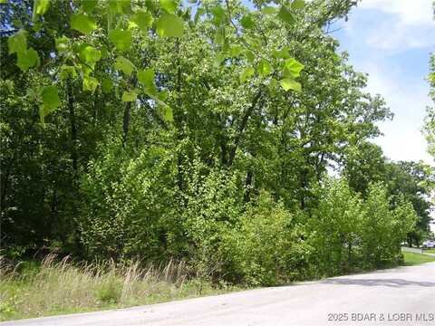 26 Silver Spur Court, Camdenton, MO 65020