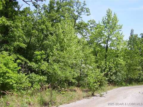 20 Silver Spur Court, Camdenton, MO 65020