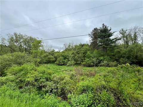 0 W Seneca Lot 1 Road, Hector, NY 14886