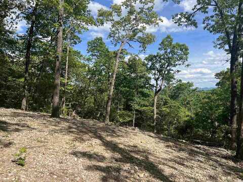 CR 2909, Marble Falls, AR 72648