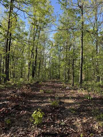 80 Ridge Road, Hardy, AR 72542