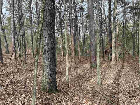 0 Hacienda Rd, Greers Ferry, AR 72067