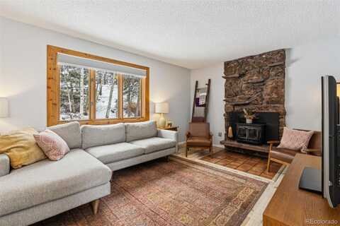 28254 Tresine Drive, Evergreen, CO 80439