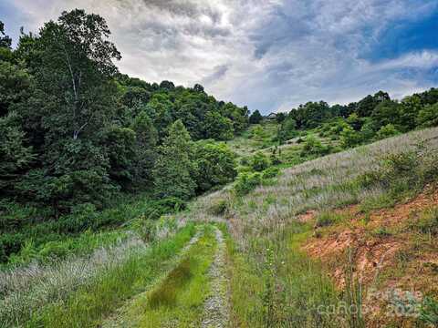 Murphy Cove Road lot: 1, Candler, NC 28715