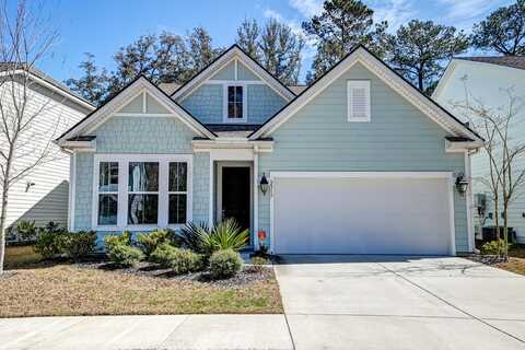 2317 Chisol Plow Street, Mount Pleasant, SC 29466