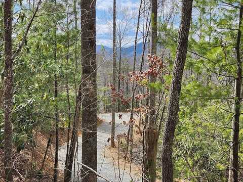 Camp Branch RD, Topton, NC 28781