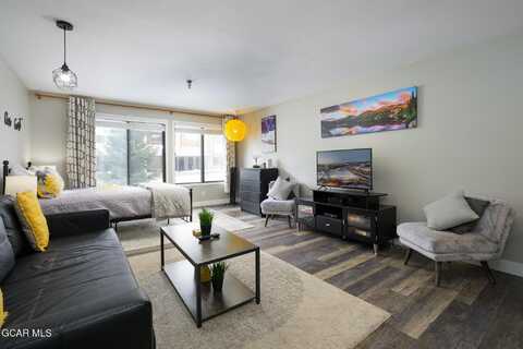 79114 US HWY 40 unit: E213, Winter Park, CO 80482