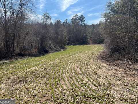660 Brooks, Sandersville, GA 31082