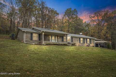 820 Mccrary Rd, Guston, KY 40142