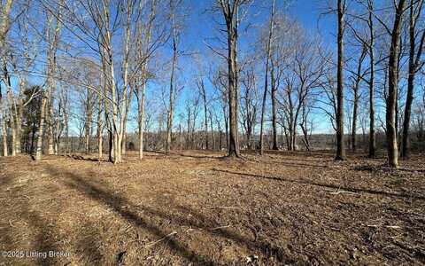 L9 1126 Thomason Cemetery Rd, Leitchfield, KY 42754