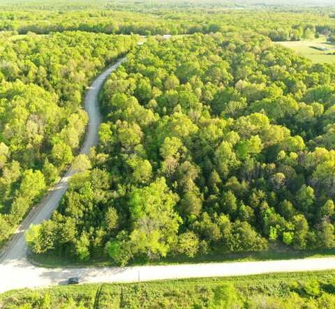 000 Lot 1 Clay Valley Drive, Fordland, MO 65652