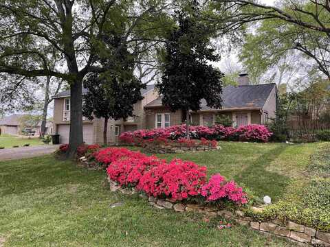 103 Williamsburg Ln, Bullard, TX 75757