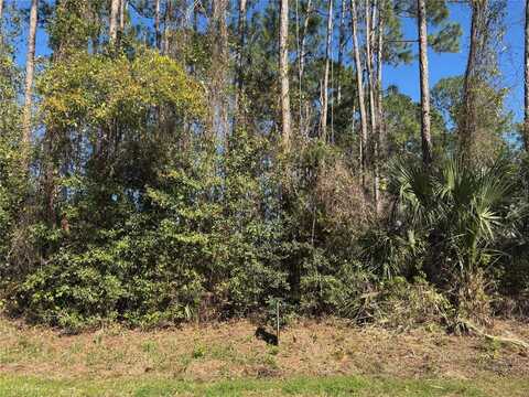 24 BRIGADOON LANE, PALM COAST, FL 32137