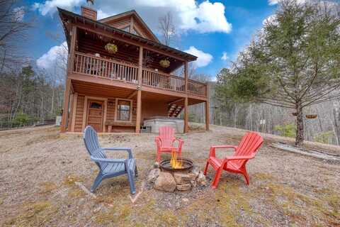 315 Hidden Branch Dr, BLAIRSVILLE, GA 30512