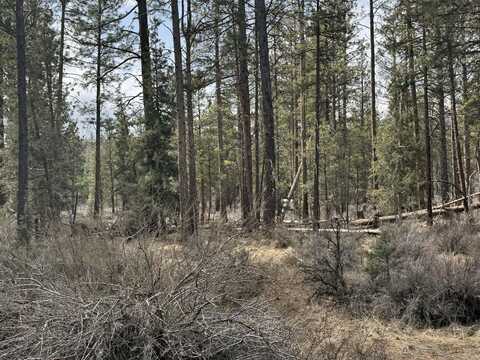 Bufflehead Drive, Bonanza, OR 97623