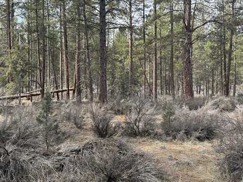 Bufflehead Drive, Bonanza, OR 97623