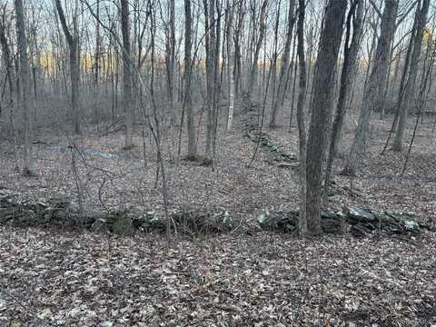 Barkit Kennel Rd, Pleasant Valley, NY undefined