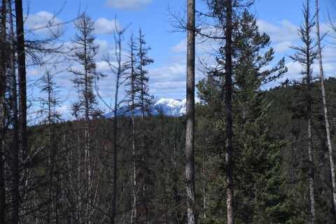 205 Timberjack Trail, Bigfork, MT 59911