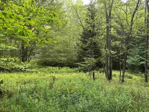 Lot 16 Black Bear Trail, Davis, WV 26260