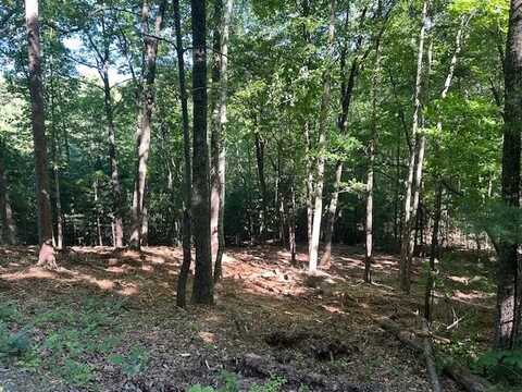 Lot 12a Oak Loop, Mineral Bluff, GA 30559
