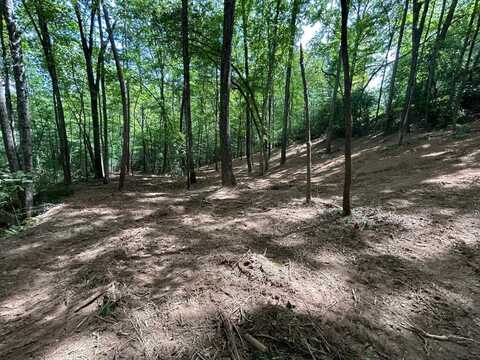 Lot 12a Oak Loop, Mineral Bluff, GA 30559