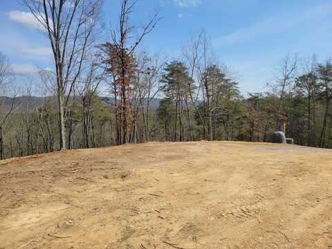 31 Old Sawmill Road, Chatsworth, GA 30705