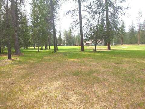 183 TRAPPERS LOOP E, CHEWELAH, WA 99109