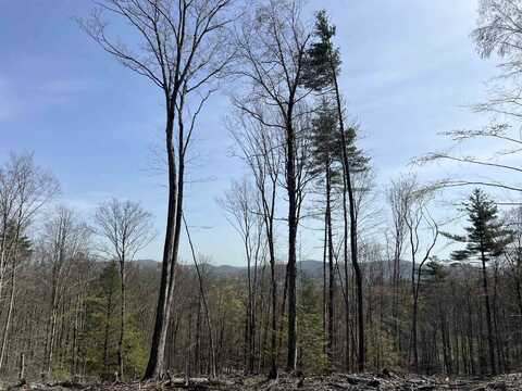 00 Burt Hill Road, Winchester, NH 03470