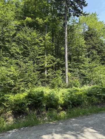 00 Loon Circle, Londonderry, VT 05155