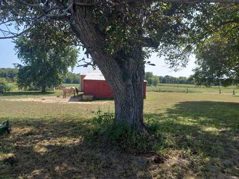 10934 Raccoon Creek Lane, St. Francisville, IL 62460
