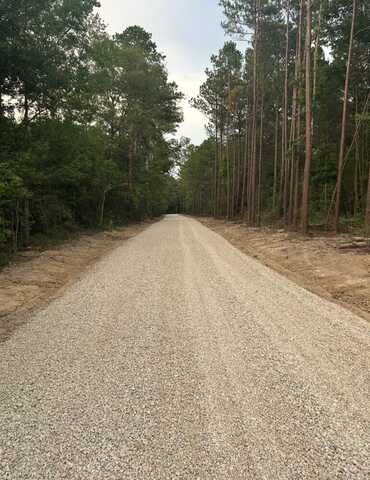 Lot 3H Oliver Wheat Rd., Livingston, LA 70754