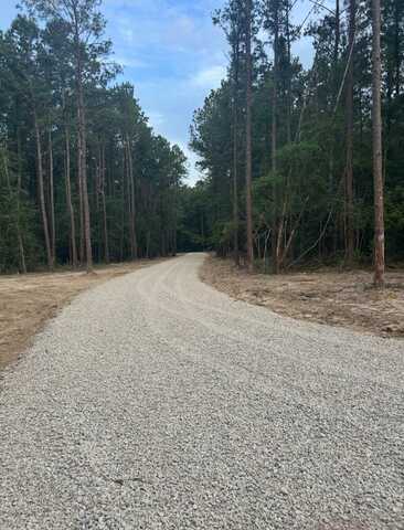 Lot 3G Oliver Wheat Rd., Livingston, LA 70754