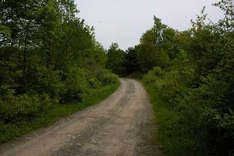 0WP Durgala Ln, Preston, NY 13830
