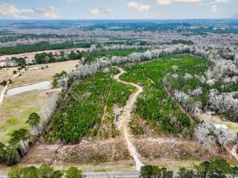 66+/- Acres, Jack, AL 36346