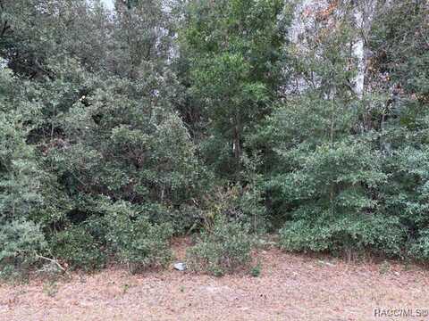 7989 N Galena Avenue, Citrus Springs, FL 34434
