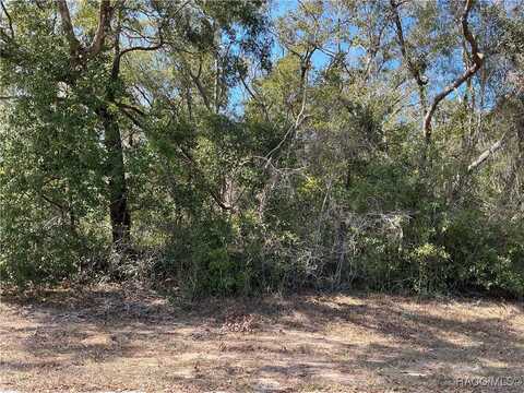 1534 W Magenta Drive, Citrus Springs, FL 34434